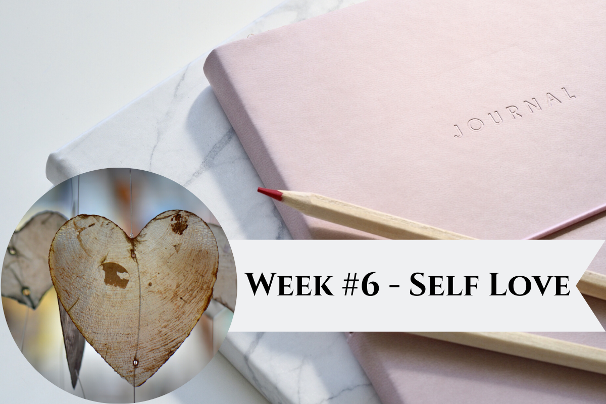 Featured-Image-Week-6.png