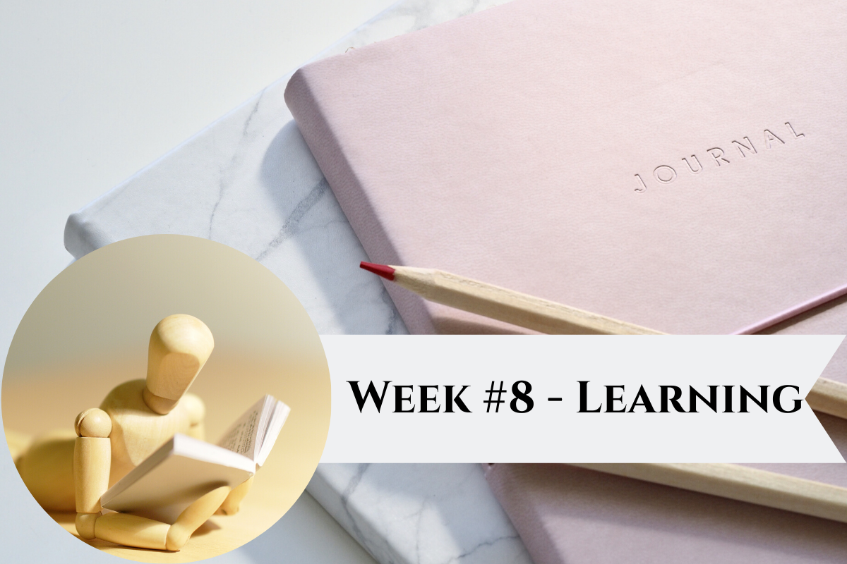 Featured Image Week 8